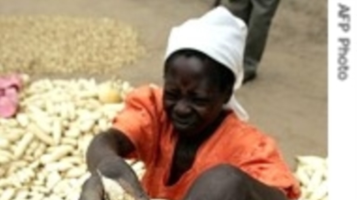 Zimbabwe Agriculture Minister Forecasts Harvests Meeting National Needs