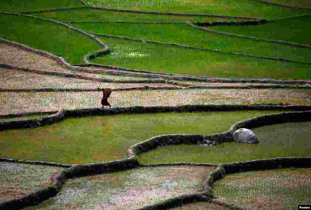 Nepal