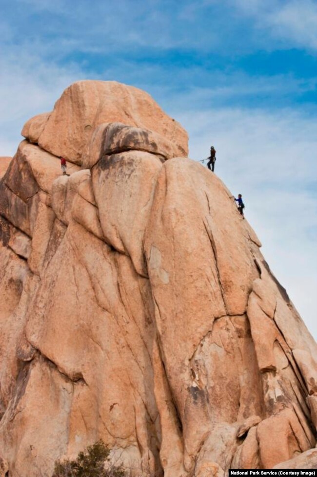 People rock climb at Joshua Tree National Park