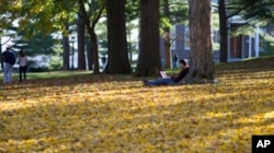 A student studies on the quad at Amherst College, a liberal arts school in western Massachusetts.