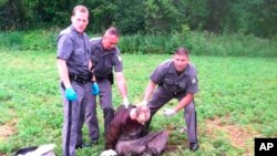 Police officers stand over convicted murderer and prison escapee David Sweat after he was shot and captured near the Canadian border, June 28, 2015, in Constable, New York.