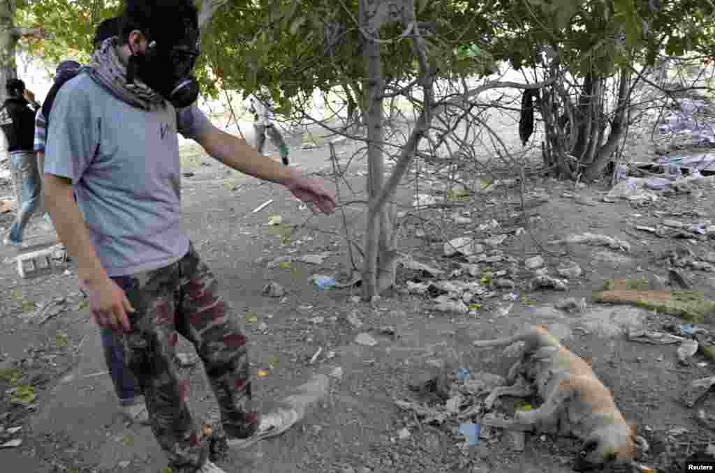 An activist wearing a gas mask stands next to a dead dog as he looks for bodies to collect samples to check for chemical weapon use, in Zamalka, Damascus, August 22, 2013.