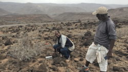 Djibouti fieldwork, in search of the Somali Sengi. (Photo by Galen Rathbun, California Academy of Sciences)
