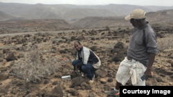 Djibouti fieldwork, in search of the Somali Sengi. (Photo by Galen Rathbun, California Academy of Sciences)