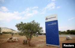 FILE - A cow is seen near the AngloAmerican sign board outside the Mogalakwena platinum mine in Mokopane, north-western part of South Africa , Limpopo province, May 18, 2016.