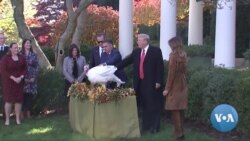 Trump Pardons 'Bread' and 'Butter,' the Turkeys