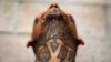 Maras y tatuajes: Identidad en la piel 