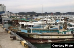 Pelabuhan perikanan di Wando, Korea Selatan. (Foto courtesy: Ari Purboyo)