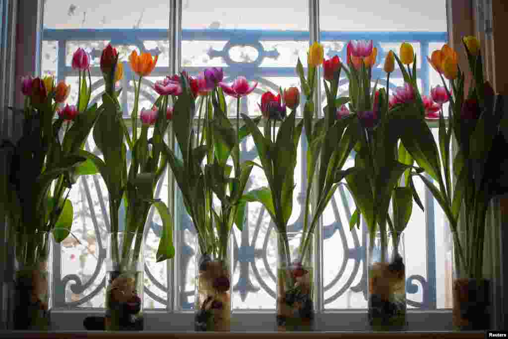 Flowers are displayed at the Dutch Ambassador&#39;s residence during the Tulip Days celebration, an event celebrating the Dutch horticulture sector and its ties to the United States, in Washington, US.