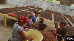 Café do Fogo, Cabo Verde