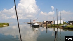 Zagađenje prijeti opstanku zaljeva Chesapeake