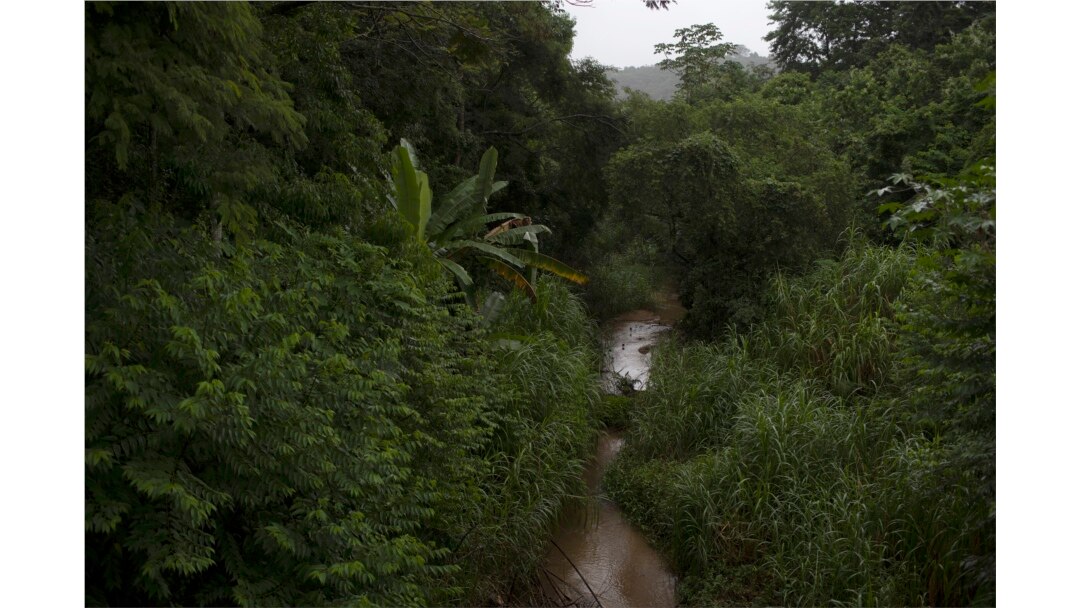 Sungai Ana Felicia mengalir melalui area yang 'dihijaukan' kembali oleh LSM Onda Verde, di lingkungan pedesaan Tingua di Hutan Atlantik, negara bagian Rio de Janeiro, Brasil, Rabu, 21 April 2021.