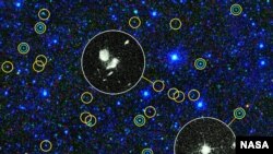 This zoomed-in view of a portion of the all-sky survey from NASA's Wide-field Infrared Survey Explorer shows a collection of quasar candidates. Quasars are supermassive black holes feeding off gas and dust. (NASA)