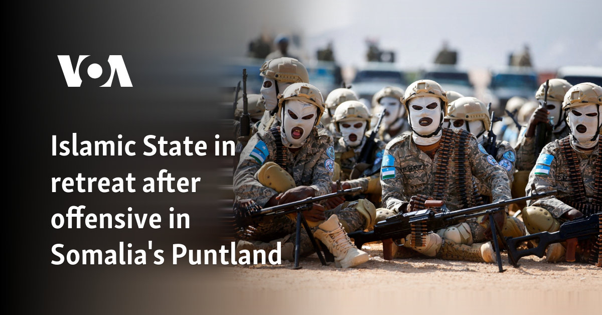 Islamic State in retreat after offensive in Somalia's Puntland