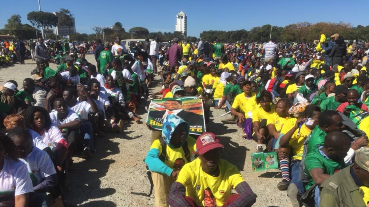 'Small' Zanu PF Crowd Marches for Peace in Harare