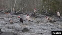 Rescue workers make their way through the mud and wreckage left behind by Saturday's mudslide as they look for signs of missing people, in Oso, Washington, March 27, 2014.