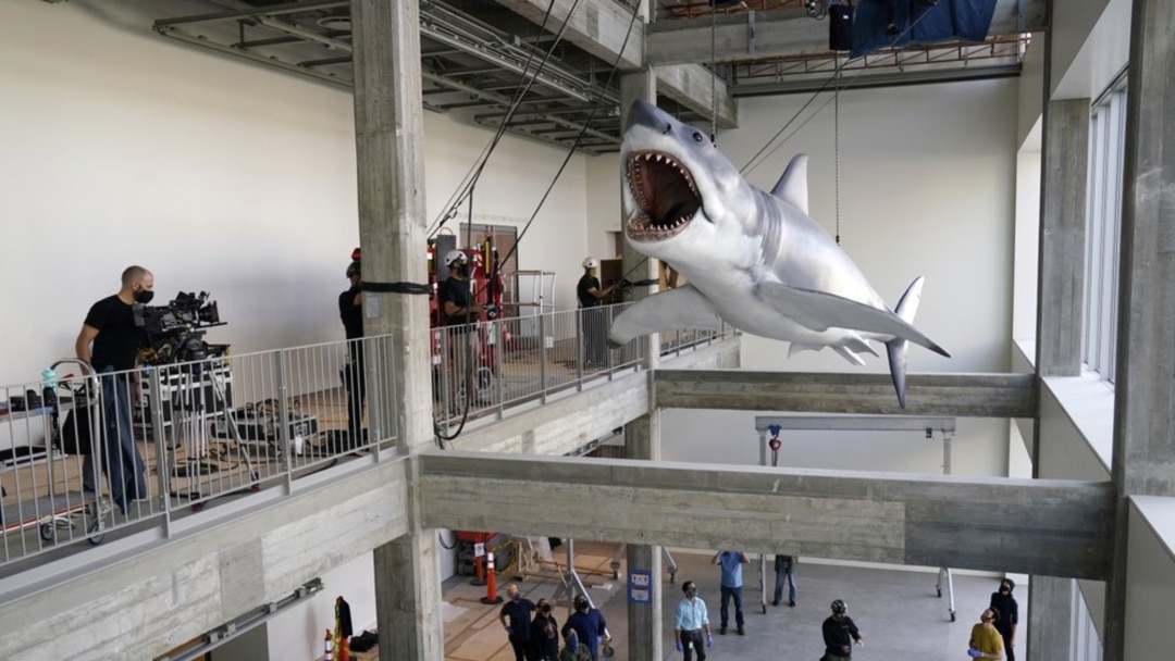 Giant 'Jaws' shark joins Academy Museum