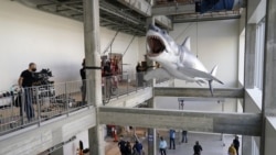 A fiberglass replica of Bruce, the shark from Steven Spielberg's classic 1975 film "Jaws," is lifted into a suspended position for display at the new Academy of Museum of Motion Pictures, Friday, Nov. 20, 2020, in Los Angeles. (AP Photo/Chris Pizzello)