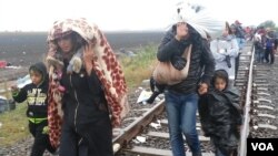 A constant steam of migrants arrives despite rain Thursday in the border town Röske, Hungary, from Serbia. (Photo: A. Tanzeem / VOA)