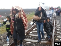 A constant steam of migrants arriving despite rain Thu in border town Röske, Hungary from Serbia. (A. Tanzeem/VOA)