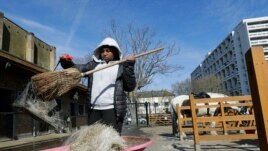 Zion Mcleod, 13, sweeps out the stables at the Ebony Horse Club.