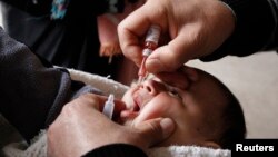 지난 18일 시리아 동부 라카에서 어린이들에게 소아마비 백신을 투여하고 있다.