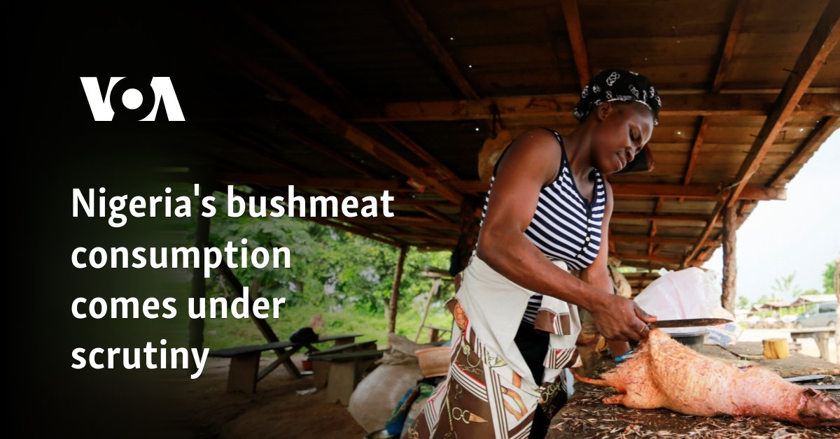 Nigeria's bushmeat consumption comes under scrutiny