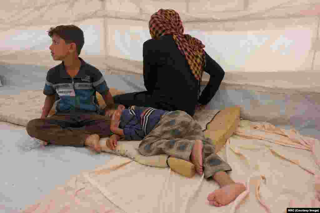 Mohammed (9 tahun, duduk) mengatakan, &quot;Kaki saya sangat sakit dan capek karena harus lari sepanjang malam.&quot; Ishwaq, suaminya dan ketiga anak mereka, semua di bawah usia 12 tahun, berhasil melarikan diri dari Fallujah pada 23 Mei 2016. Mereka lari selama tiga jam pada malam hari sebelum tiba di pos pemeriksaan dan mengibarkan bendera putih agar tidak ditembak.
