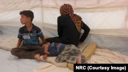 Families Flee Fallujah War Zone