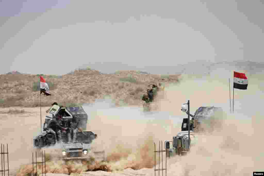 Iraqi federal police advance with Shi&#39;ite fighters towards Falluja.