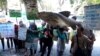 Ikan Arapaima Dilepasliarkan, Aktivis Lingkungan Tuntut Pidanakan Pemilik Ikan