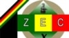 Sticker Shock as Zimbabwe Electoral Commission Pitches US$88M Referendum