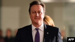 British Prime Minister David Cameron, Nov. 28, 2013.