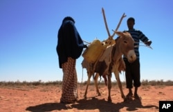 A woman readies a donkey to move water in Ufule Sanaag, January 2011