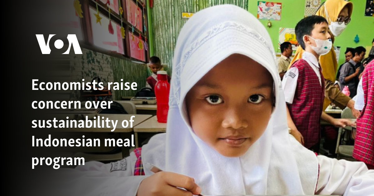 Economists raise concern over sustainability of Indonesian meal program