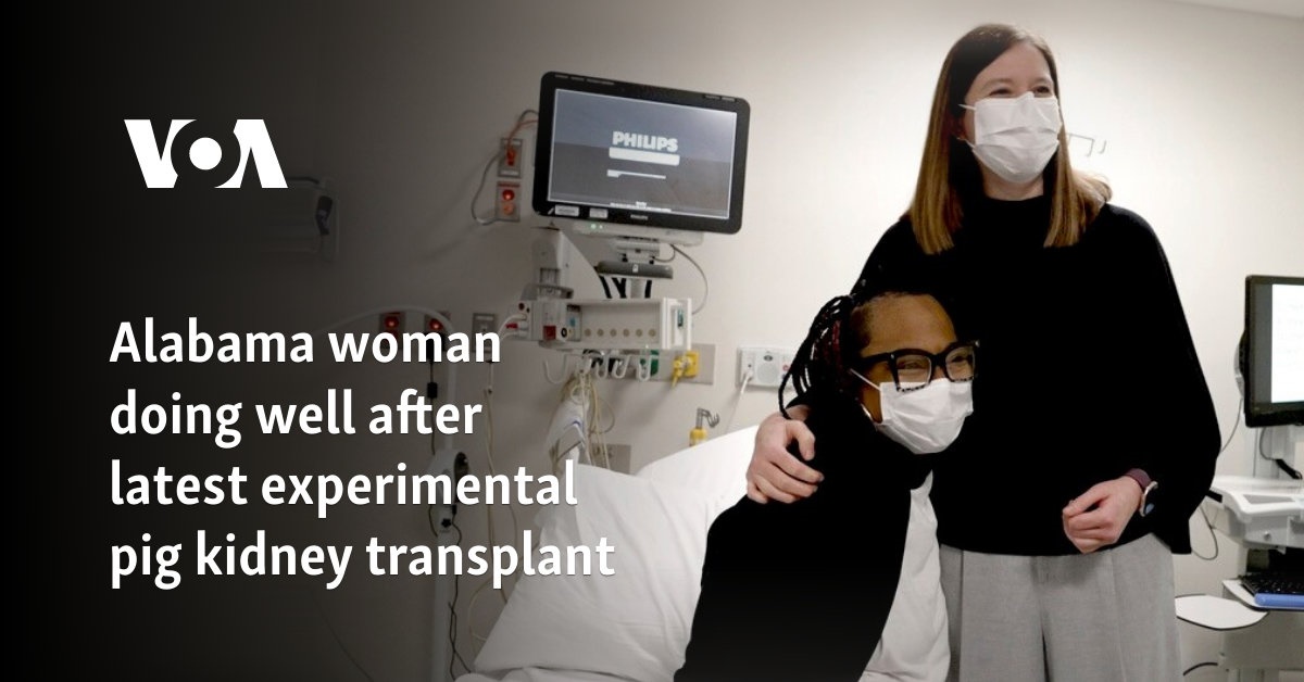 Alabama woman doing well after latest experimental pig kidney transplant