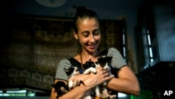 En esta imagen del jueves 4 de abril de 2019, Grettel Montes de Oca Valdés, bailarina profesional y fundadora del grupo Cubanos en Defensa de los Animales, posa con cuatro gatitos a los que ha acogido en su casa de La Habana, Cuba. (AP Foto/Ramón Espinosa)