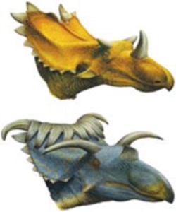 Reconstructions of Utahceratops gettyi and Kosmoceratops richardsoni