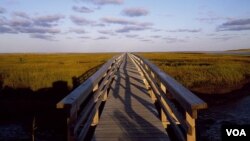 One escapes to Cape Cod, in part, for peaceful scenes such as this footbridge that leads toward Barnstable Harbor. (Carol M. Highsmith)