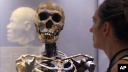 Los primeros antepasados humanos no provienen de especies como el Homo habilis, el Homo rudolfensis o el Homo erectus.