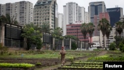 En el pasado el gobierno promovió los cultivos en tierras urbanas para generar fuentes de ingreso.