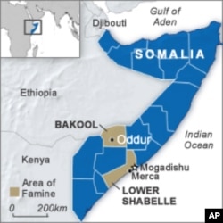 Two regions in southern Somalia are hit by famine: Bakool and Lower Shabelle