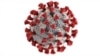 Virus gây bệnh Covid-19 với những cây cọc protein bên ngoài. (Hình: CDC/ Alissa Eckert, MSMI; Dan Higgins, MAMS)