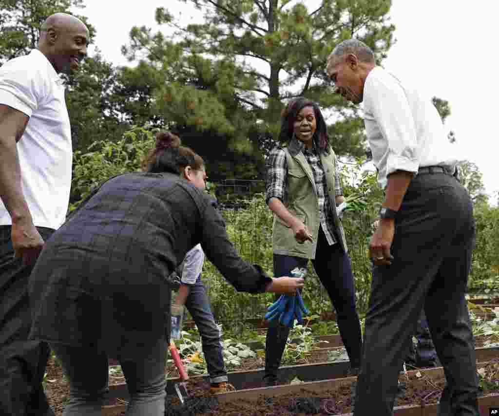 President Barack Obama is handed a pair of gardening gloves as first lady Michelle Obama, second from right, and NBA basketball player Alonzo Mourning watch during the harvest of the White House Kitchen Garden in Washington, Oct. 6, 2016.
