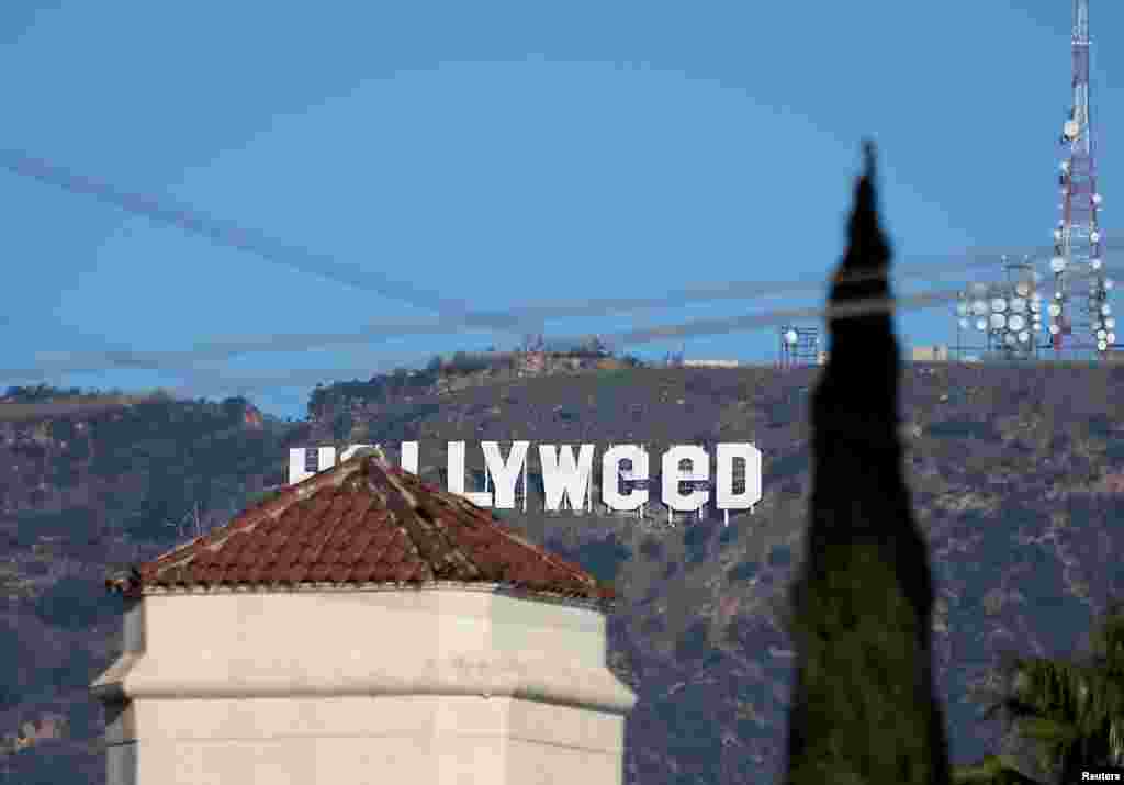 미국 캘리포니아주 로스앤젤레스의 산 기슭에 세워진 '헐리우드(Hollywood)' 간판이 누군가에 의해 훼손돼 '할리위드(Hollyweed)'로 읽힌다.