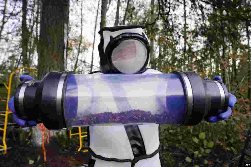 Sven Spichiger, Washington State Department of Agriculture managing entomologist, displays a canister of Asian giant hornets vacuumed from a nest in a tree behind him in Blaine, Oct. 24, 2020.