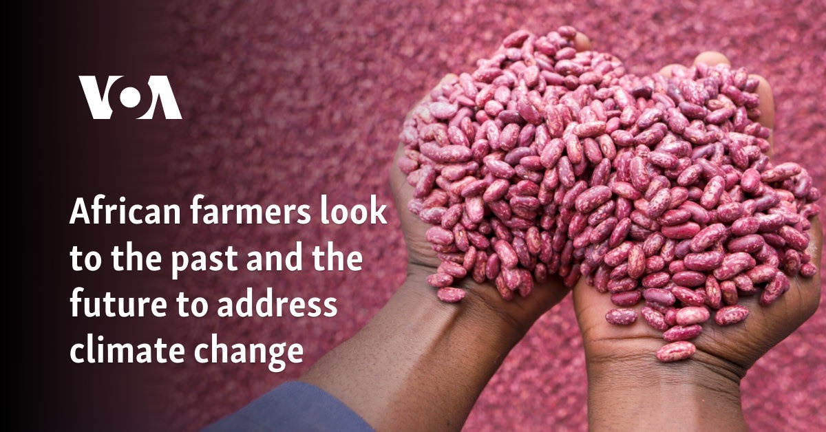 African Farmers Look To The Past And The Future To Address Climate Change