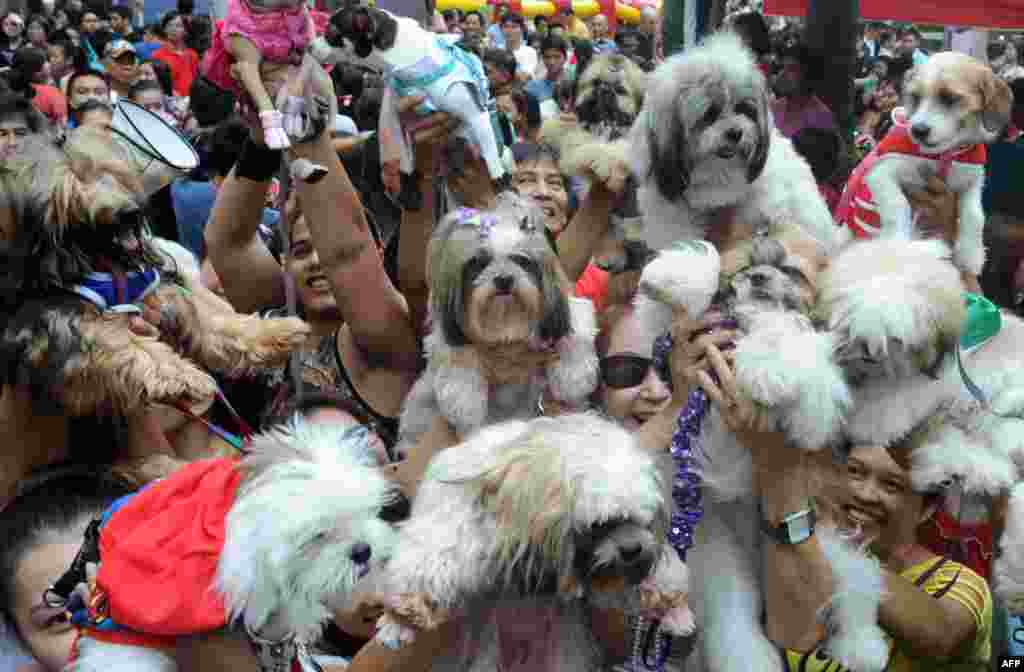 Owners raise their pets for a blessing from the Roman Catholic church to celebrate World Animal Day in Manila, Philippines.