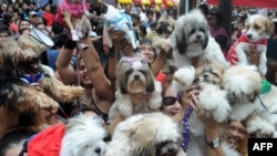 FILE - Owners raise their pets for a blessing from the Roman Catholic church to celebrate World Animal Day in Manila. 