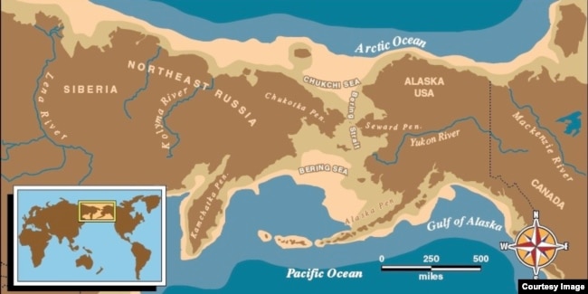 Map of eastern Russian and Alaska with a light brown boarder depicting Beringia, where archaeolosits believe ancient Americans crossed from Siberia into Alaska around 13,000 years ago. Courtesy, U.S. National Park Service.